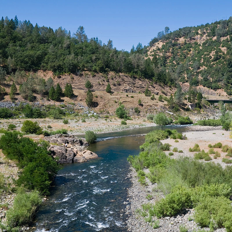 The American River