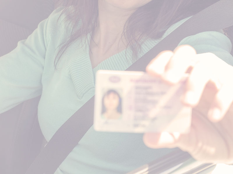 Driver holding license
