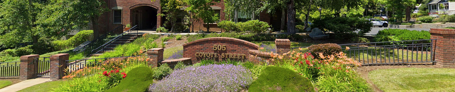 coyote street exterior