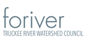 Foriver Logo