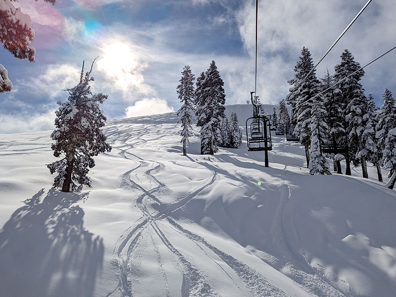 fresh powder day in tahoe